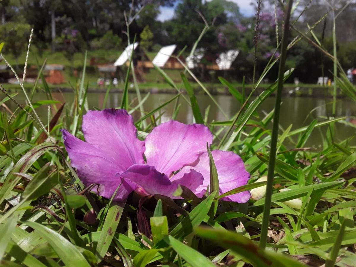 Pesqueiro E Pousada Rota Do Sol *